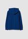 Blue boys&rsquo; organic cotton hoodie, regular fit_5