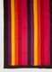 Multicolour pure cotton beach towel_1