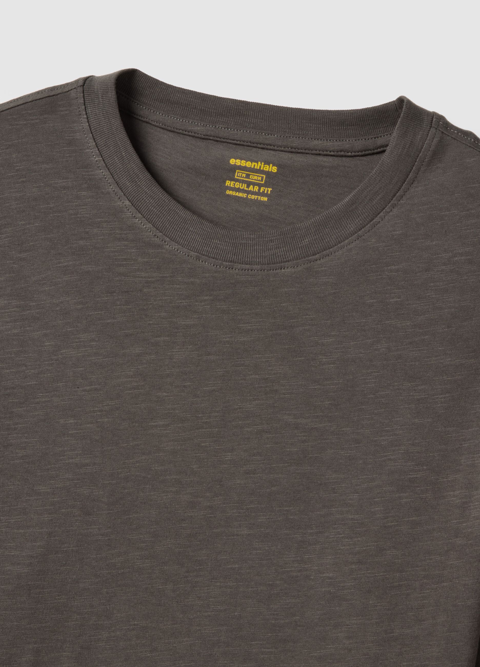 Grey long-sleeve pure cotton regular fit T-shirt
