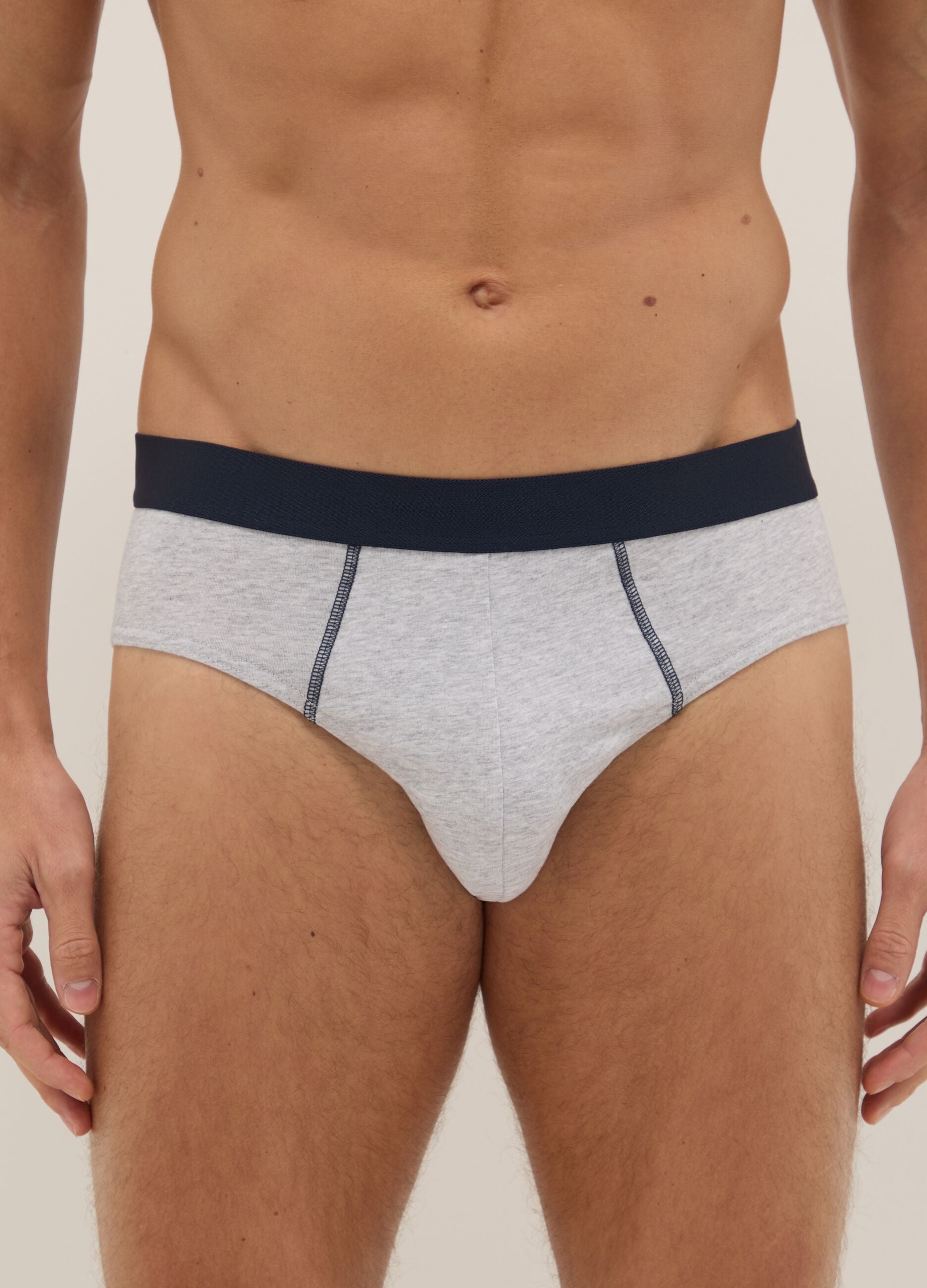 Multipack multicolour regular fit elasticated cotton briefs
