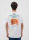 White pure cotton jersey T-shirt with print, regular fit_3