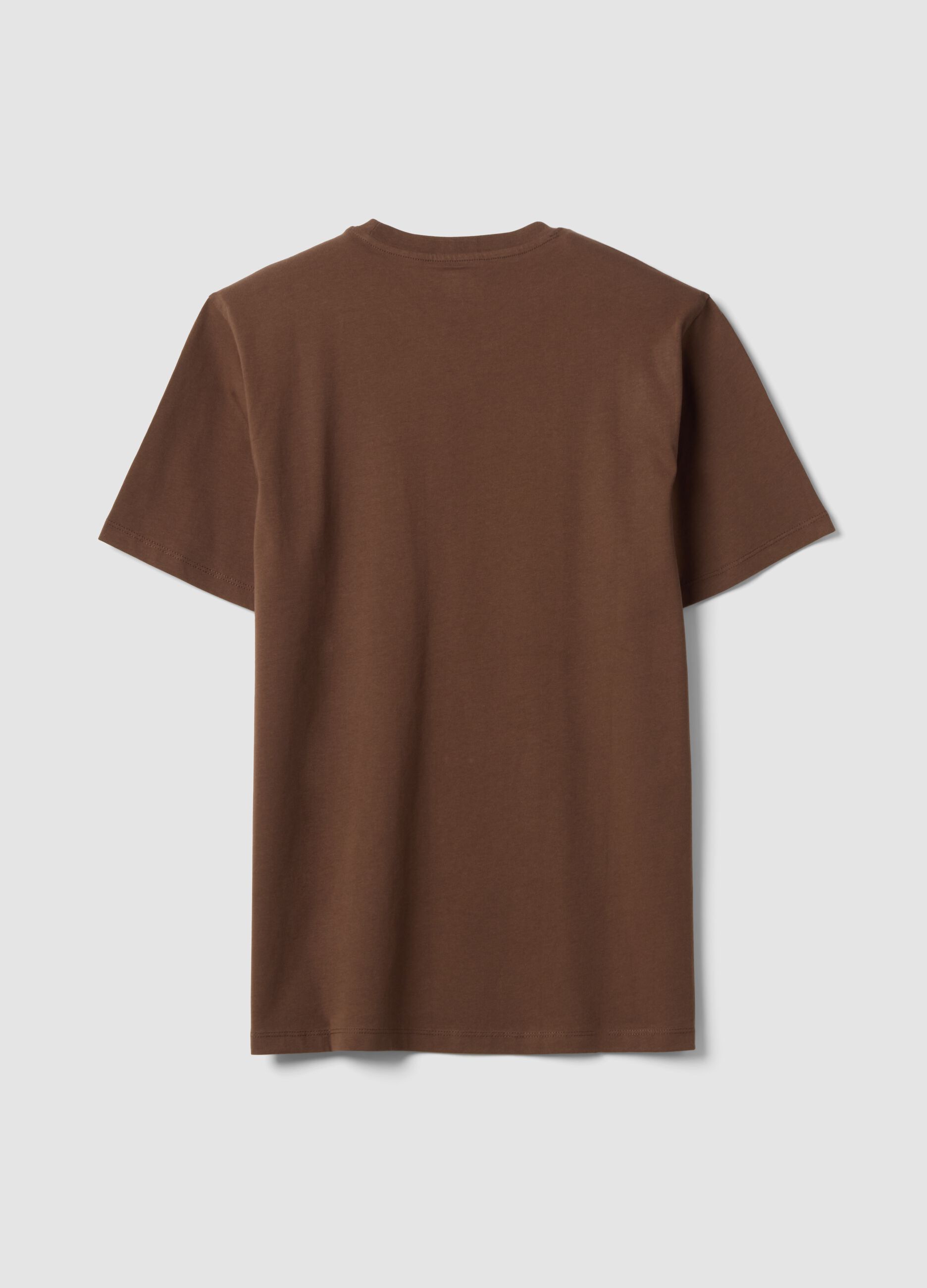 Brown regular-fit T-shirt in pure organic cotton jersey