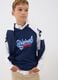 Blue pure cotton crew-neck printed T-shirt for boys_0