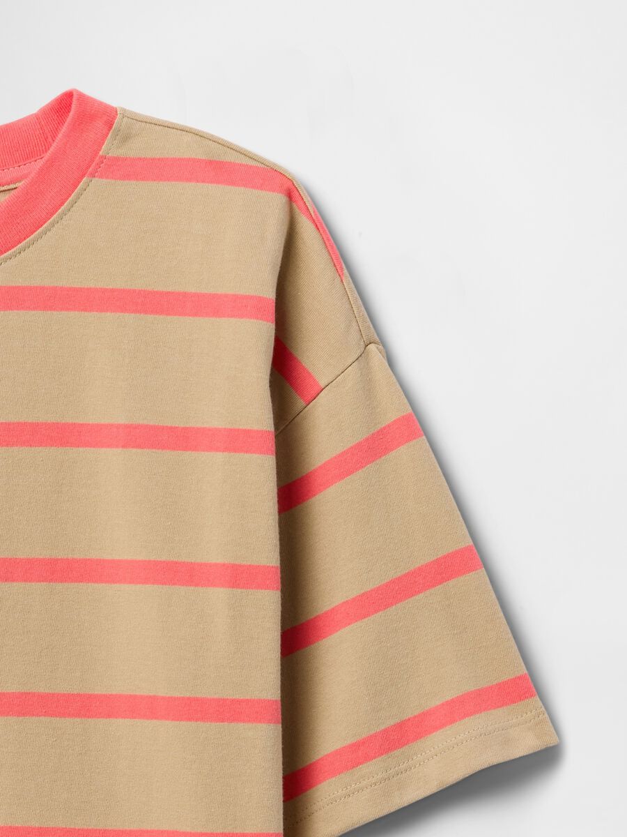 T-shirt regular fit in cotone a righe_1