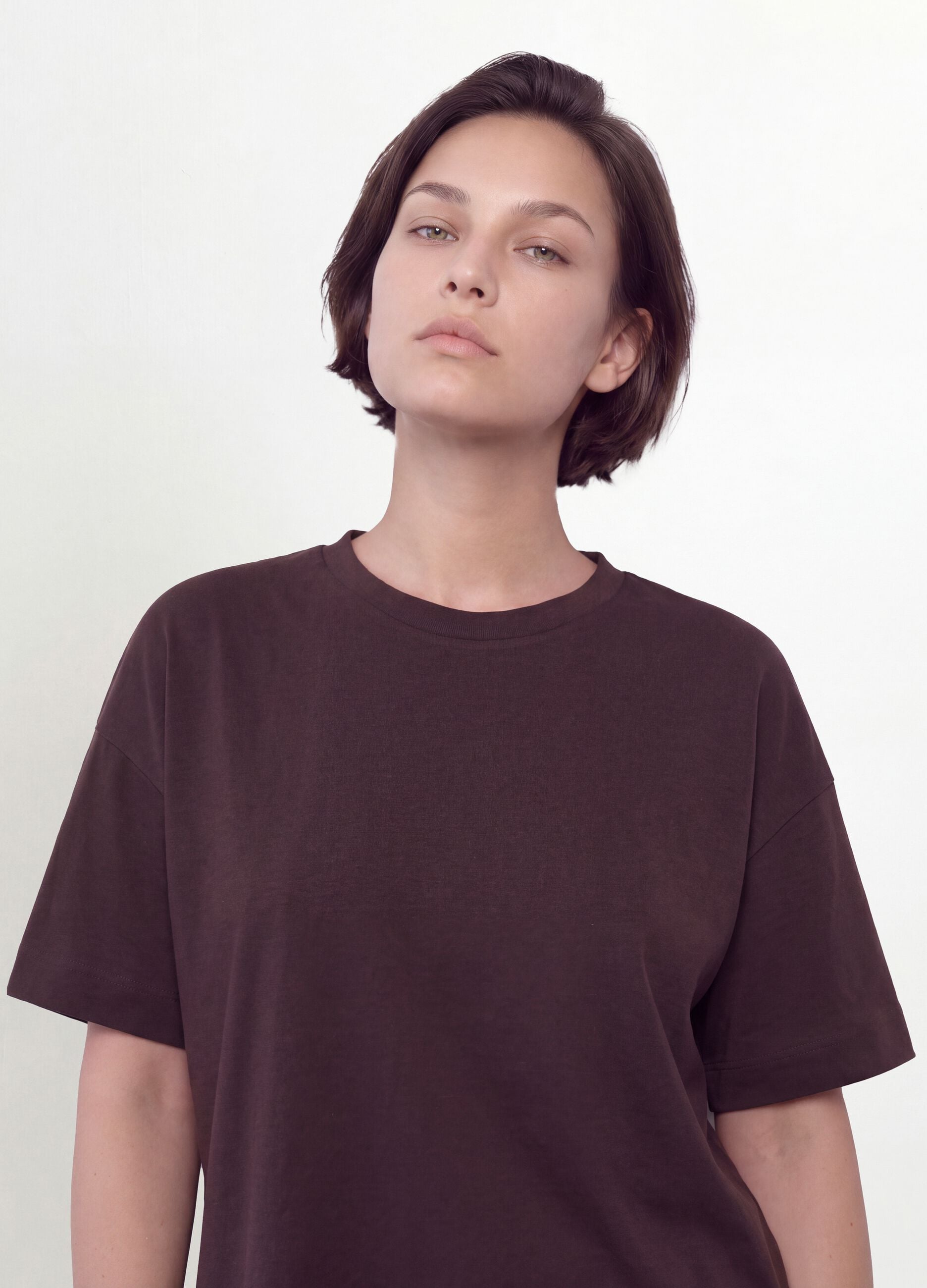 Brown crew-neck T-shirt in stretch cotton-modal blend, regular fit
