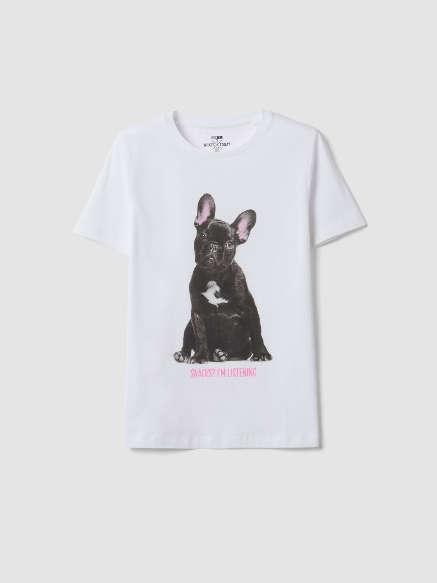 White pure cotton crew-neck T-shirt with puppy print, regular fit_4