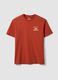 Red pure cotton jersey T-shirt with graphic print, regular fit_4