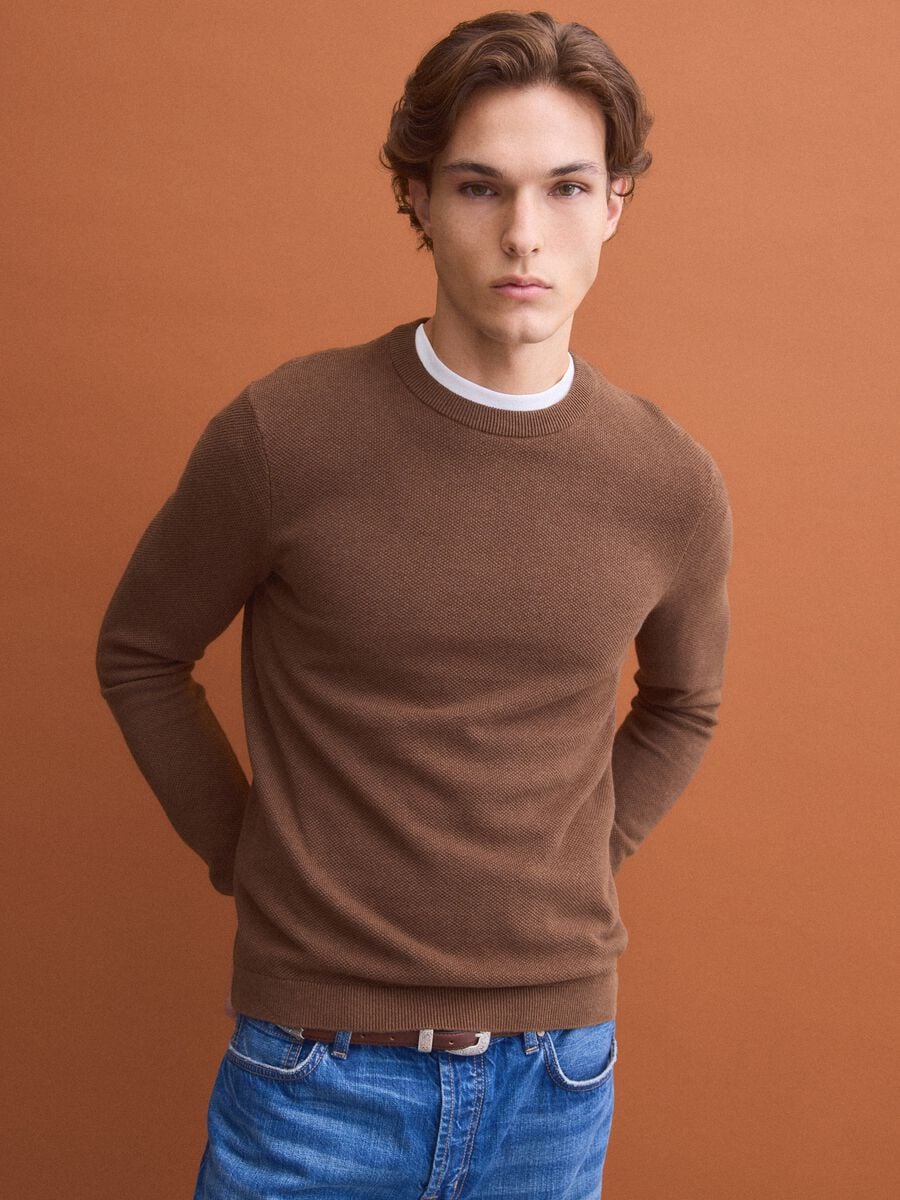 Brown pure cotton crew-neck jumper, regular fit_2