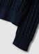 Blue pure cotton cable-knit crew-neck jumper, regular fit_5