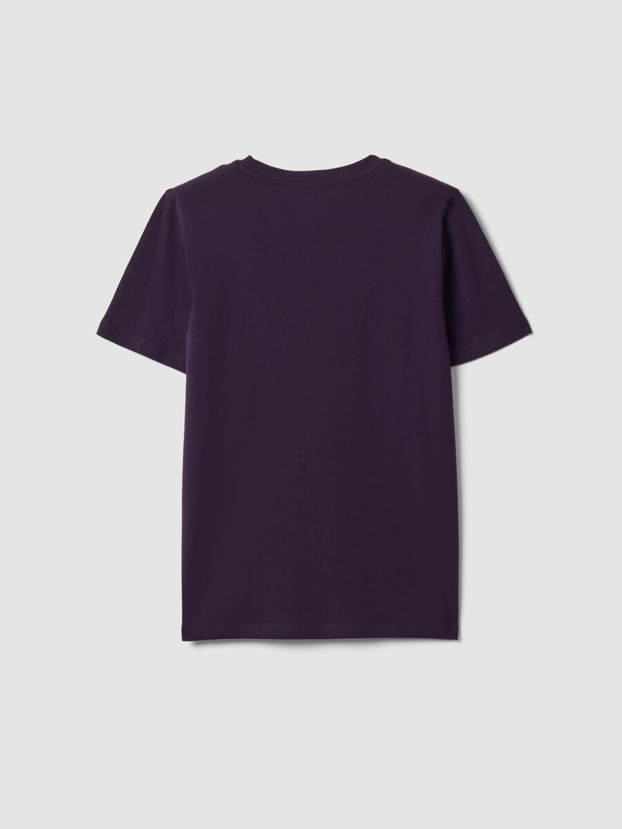Purple pure organic cotton crew-neck T-shirt, regular fit_2