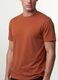 Brown regular-fit T-shirt in pure organic cotton jersey_2
