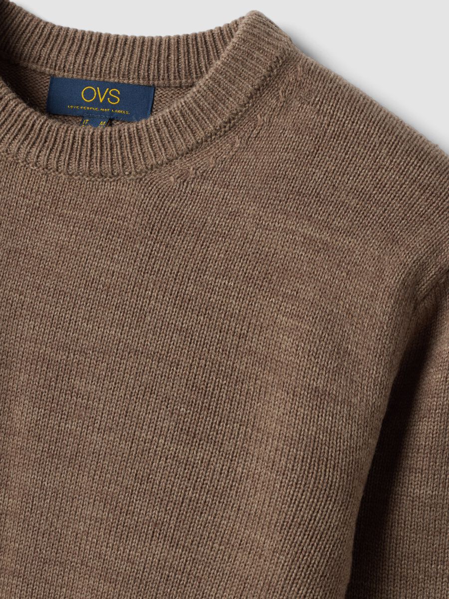 Brown crew-neck jersey knit jumper, regular fit_1