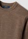 Brown crew-neck jersey knit jumper, regular fit_1
