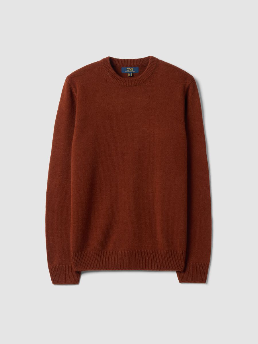Brown crew-neck jersey knit jumper, regular fit_0