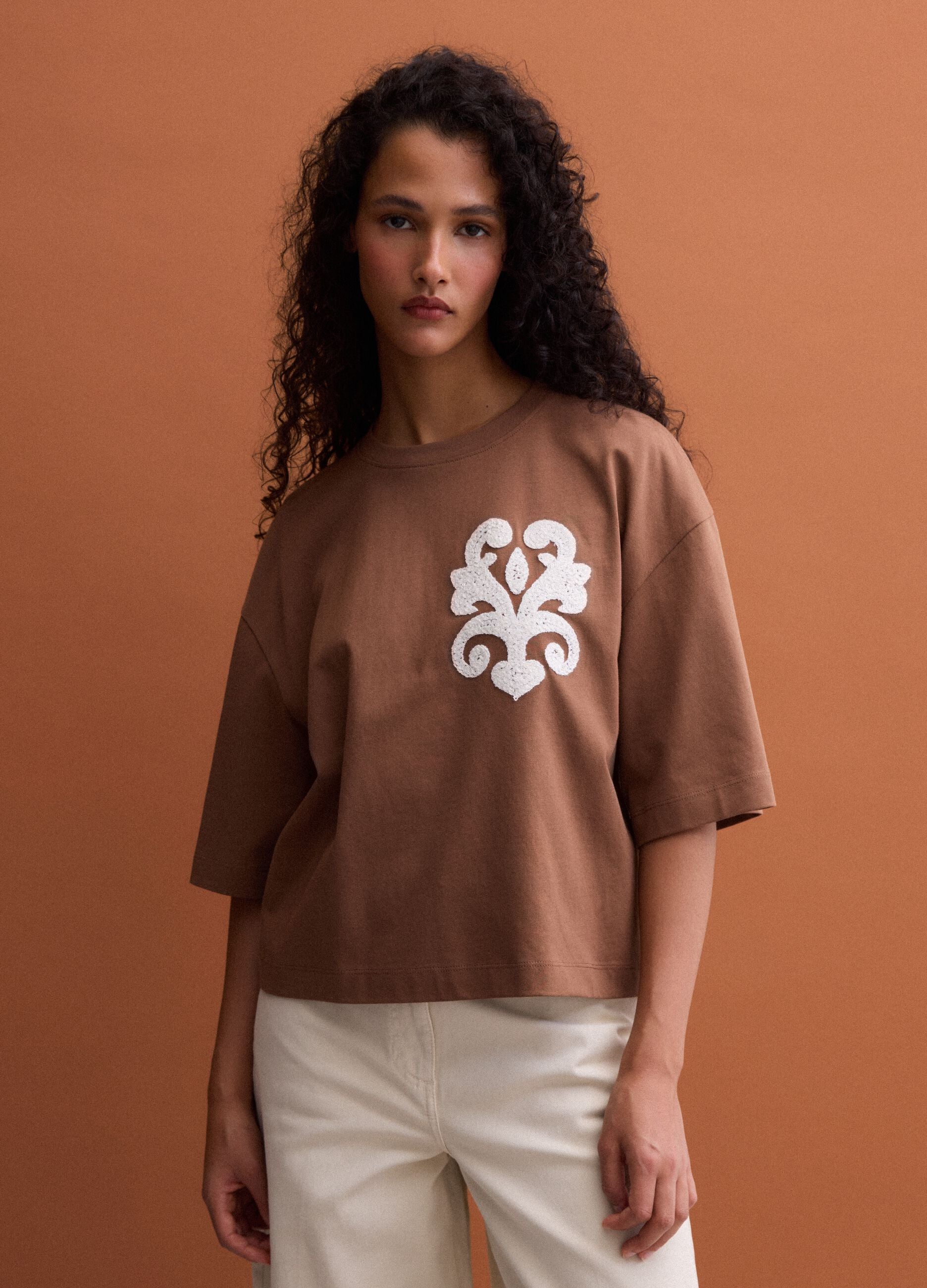 Brown pure cotton T-shirt with embroidery, regular fit