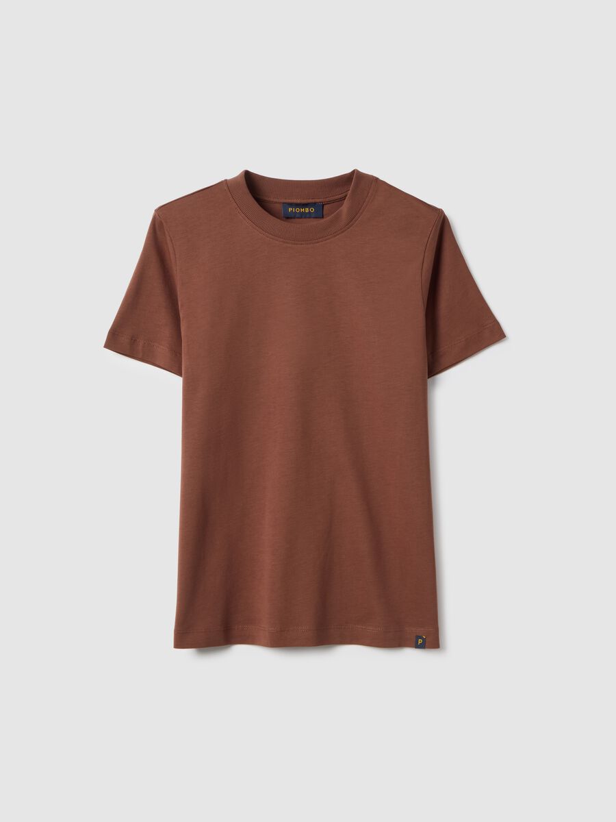 Brown crew neck pure cotton regular fit T-shirt_4
