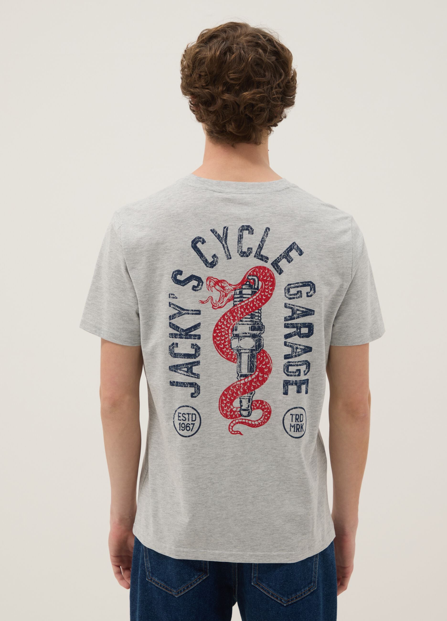 Grey printed T-shirt in pure cotton, regular fit