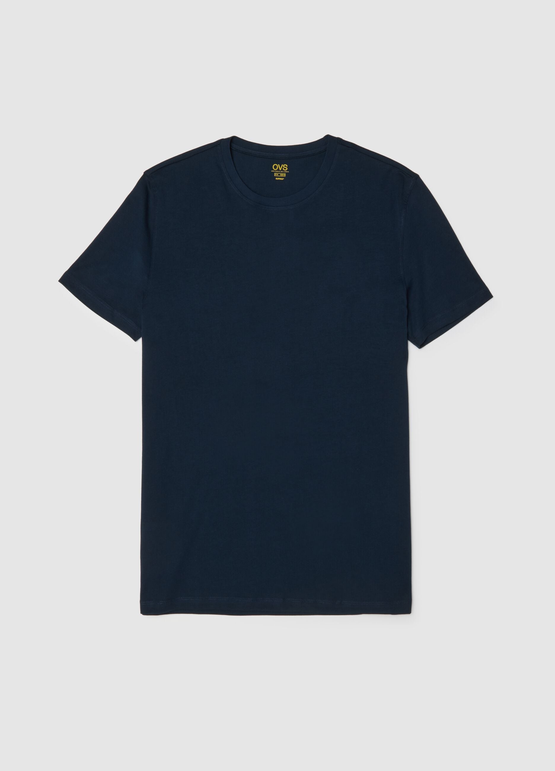 Regular Fit Round Neck Blue Pure Cotton T-shirt