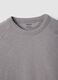 Grey pure cotton regular fit t-shirt_5