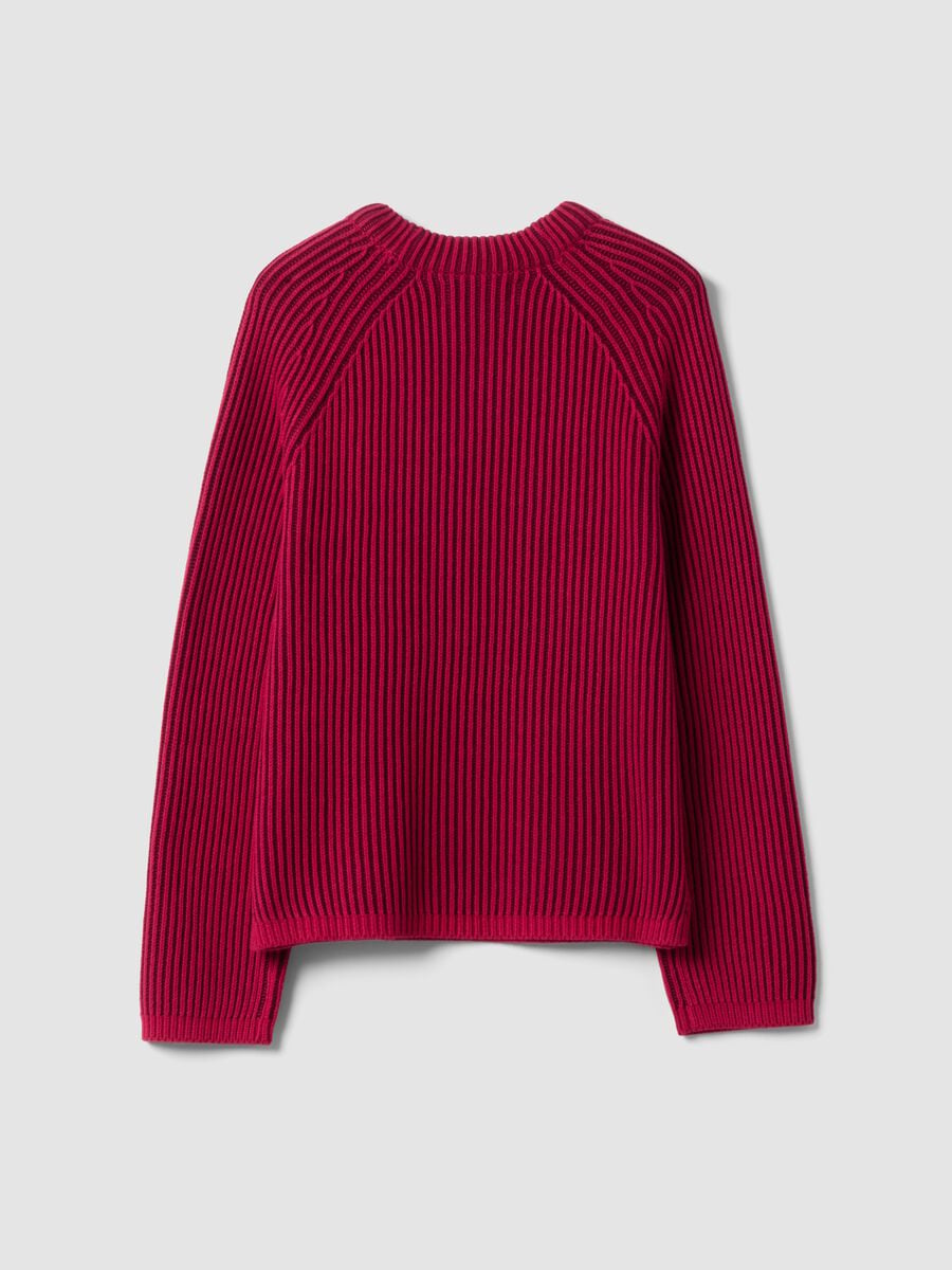 Multicolour pure cotton ribbed crew-neck jumper, regular fit_2