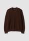 Brown pure cotton jumper with deep V-neck, regular fit_0